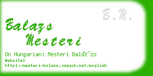 balazs mesteri business card